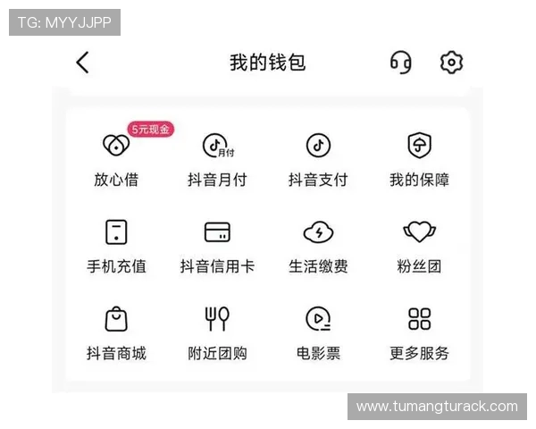 k8凯发娱乐支付方式多样化支持多平台快速便捷的充值提现服务